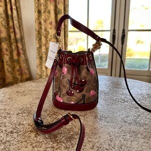 Coach Cherry Print Bucket Bag - Red and Pink